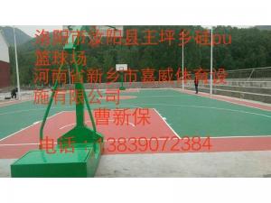 洛陽市汝陽縣王坪鄉(xiāng)硅pu籃球場(chǎng)