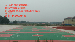  河北省邯鄲市館陶縣嘉禾 國際學校硅pu籃球場