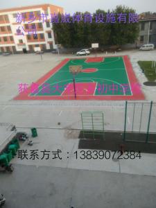 河南省新鄉(xiāng)市獲嘉縣大辛莊鄉(xiāng)初中學(xué)校籃球場