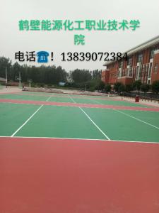 鶴壁能源化工技能職業(yè)學院800平方排球場
